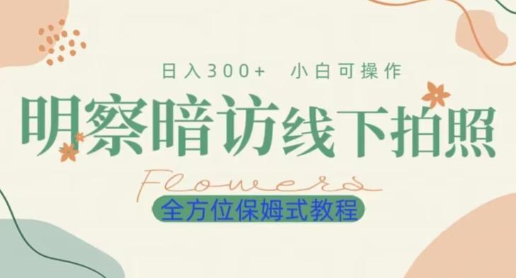 明拍暗拍项目0成本投入日入300+小白可操作保姆式全方位教程-E网资源