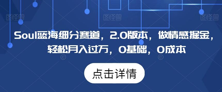 Soul蓝海细分赛道，2.0版本，做情感掘金，轻松月入过万，0基础，0成本-E网资源