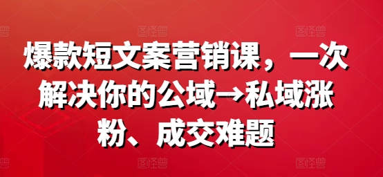爆款短文案营销课，一次解决你的公域→私域涨粉、成交难题-E网资源