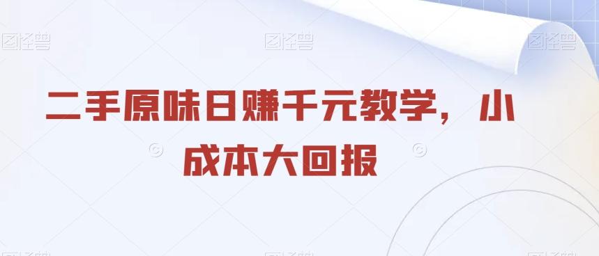 二手原味日赚千元教学，小成本大回报-E网资源