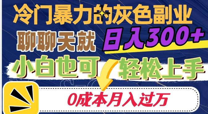 冷门暴利的副业项目，聊聊天就能日入300+，0成本月入过万【揭秘】-E网资源