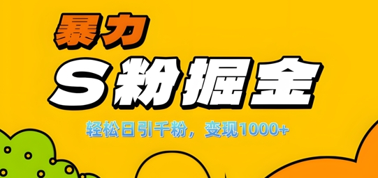 单人单机日引千粉，变现1k+，S粉流量掘金计划攻略【揭秘】-E网资源