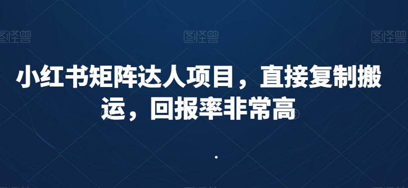 小红书矩阵达人项目，直接复制搬运，回报率非常高-E网资源