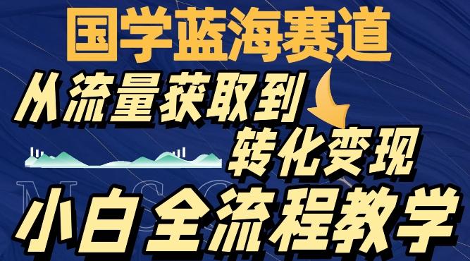 国学蓝海赛道，从流量获取，到转化变现，全流程教学-E网资源
