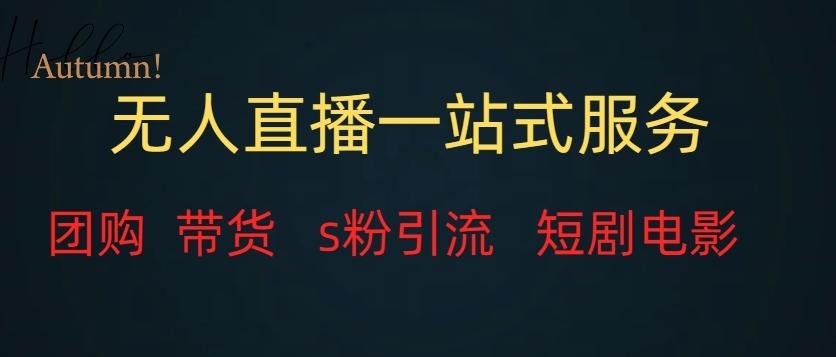 无人直播一站式服务（教程以及变现方式）-E网资源