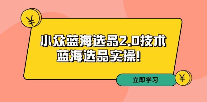 拼多多培训第33期：小众蓝海选品2.0技术-蓝海选品实操！-E网资源