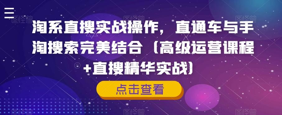 淘系直搜实战操作，直通车与手淘搜索完美结合（高级运营课程+直搜精华实战）-E网资源