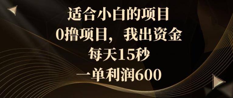 适合小白的项目，0撸项目，我出资金，每天15秒，一单利润600-E网资源