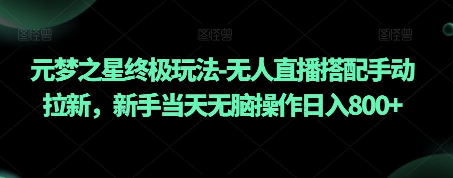 元梦之星终极玩法-无人直播搭配手动拉新，新手当天无脑操作日入800+【揭秘】-E网资源