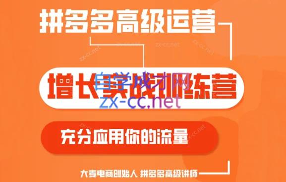 大麦老师·拼多多单品爆款打造课程(更新6月)-E网资源