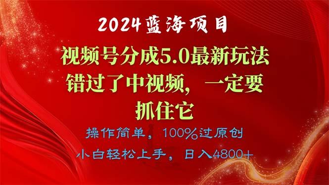 2024蓝海项目，视频号分成计划5.0最新玩法，错过了中视频，一定要抓住…-E网资源
