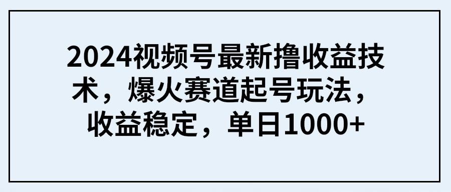 (9651期) 2024视频号最新撸收益技术，爆火赛道起号玩法，收益稳定，单日1000+-E网资源