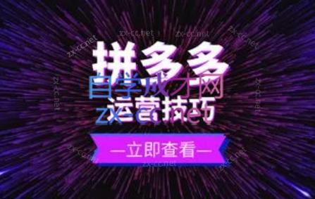 力辛电商·拼多多强付费店群玩法-E网资源