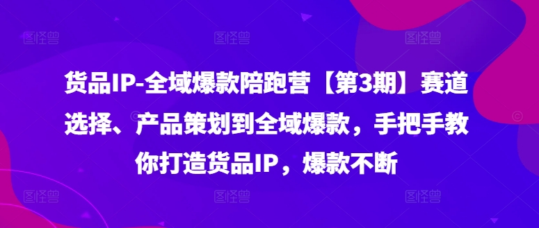 货品IP全域爆款陪跑营【第3期】赛道选择、产品策划到全域爆款，手把手教你打造货品IP，爆款不断-E网资源