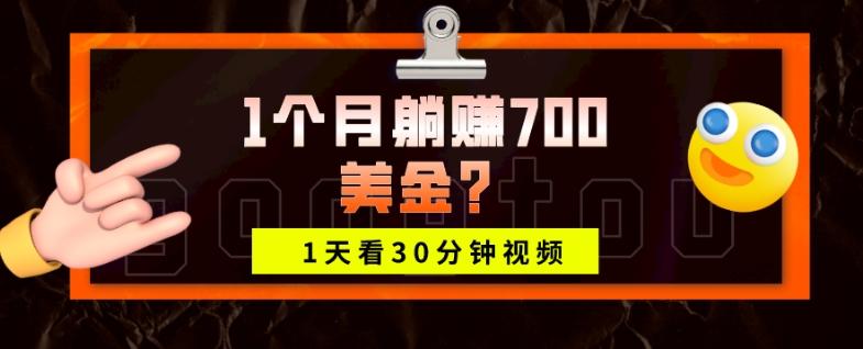 1天看30分钟视频，1个月躺赚700美金？-E网资源
