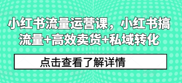 小红书流量运营课，小红书搞流量+高效卖货+私域转化-E网资源