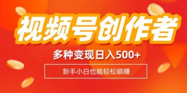 视频号创作者计划，多种变现方式，日入500+【内附1080g视频素材】-E网资源