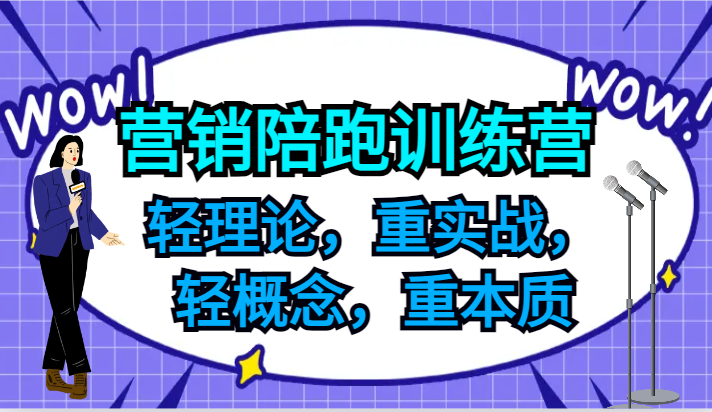 营销陪跑训练营，轻理论，重实战，轻概念，重本质，适合中小企业和初创企业的老板-E网资源
