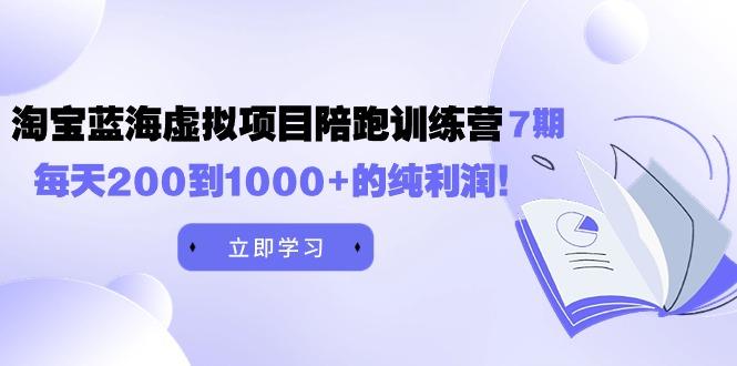 (9541期)黄岛主《淘宝蓝海虚拟项目陪跑训练营7期》每天200到1000+的纯利润-E网资源
