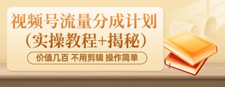 价值几百上千不用剪辑简单操作视频号流量分成计划（实操教程+揭秘）-E网资源