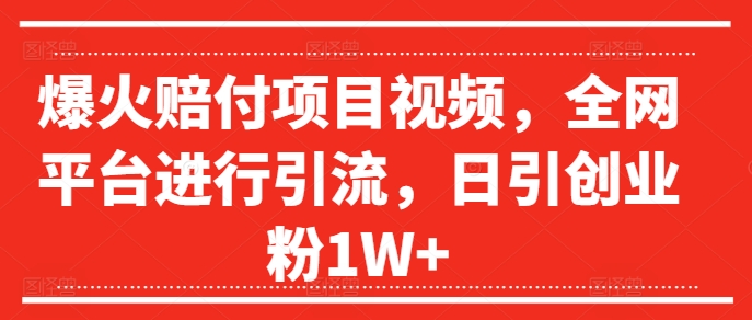 爆火赔付项目视频，全网平台进行引流，日引创业粉1W+【揭秘】-E网资源