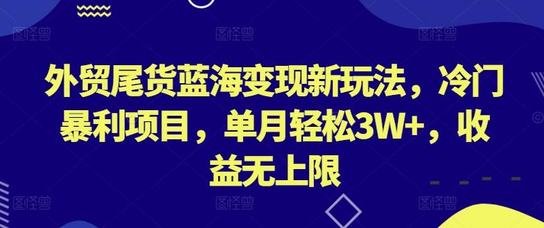 外贸尾货蓝海变现新玩法，冷门暴利项目，单月轻松3W+，收益无上限【揭秘】-E网资源