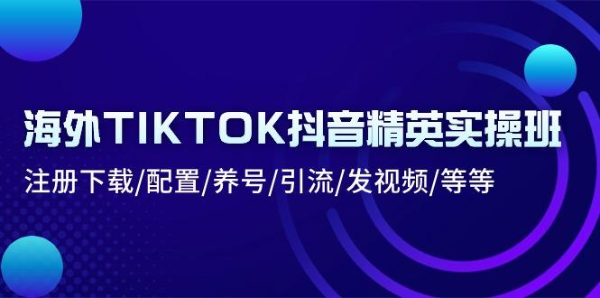 海外TIKTOK抖音精英实操班：注册下载/配置/养号/引流/发视频/等等-E网资源