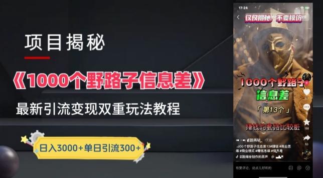 一千个野路子信息差最新玩法教程-变现+引流的玩法具体拆解【揭秘】-E网资源