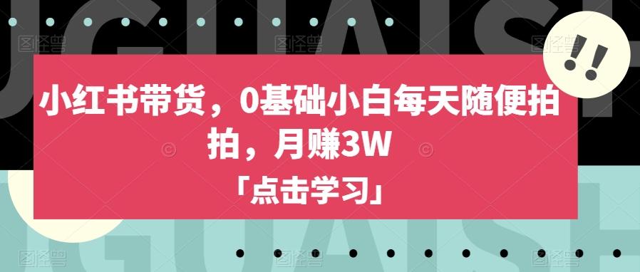 小红书带货，0基础小白每天随便拍拍，月赚3W【揭秘】-E网资源