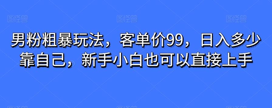 男粉粗暴玩法，客单价99，日入多少靠自己，新手小白也可以直接上手-E网资源
