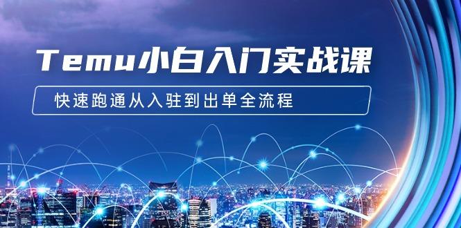 (9295期)Temu小白入门实战课：跨境拼多多电商培训 快速跑通从入驻到出单全流程-12节-E网资源