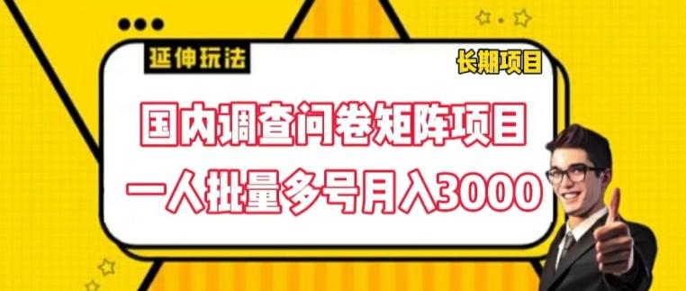 国内调查问卷矩阵项目，一人批量多号月入3000【揭秘】-E网资源