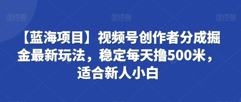 【蓝海项目】视频号创作者分成掘金最新玩法，稳定每天撸500米，适合新人小白【揭秘】-E网资源