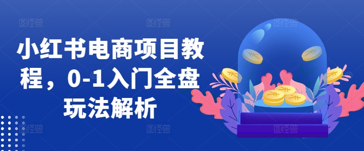 小红书电商项目教程，0-1入门全盘玩法解析-E网资源