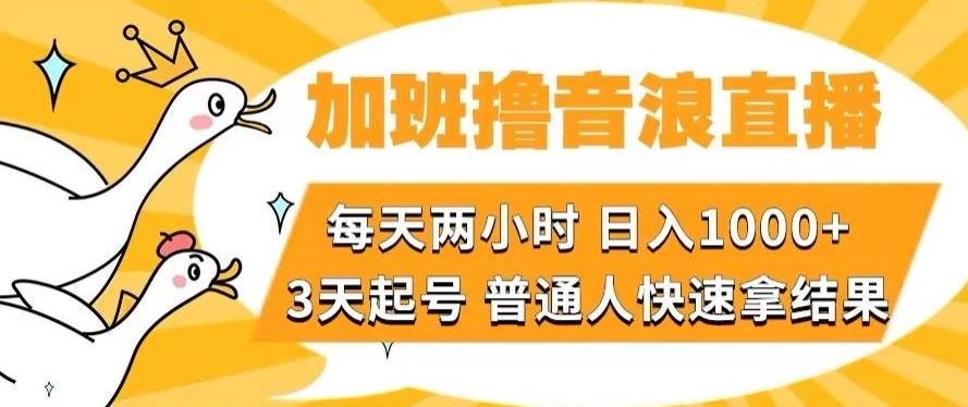 加班撸音浪直播，每天两小时，日入1000+，直播话术才3句，3天起号，普通人快速拿结果【揭秘】-E网资源