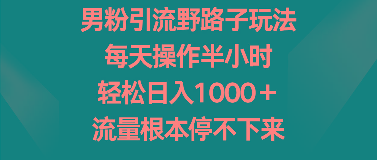 男粉引流野路子玩法，每天操作半小时轻松日入1000＋，流量根本停不下来-E网资源
