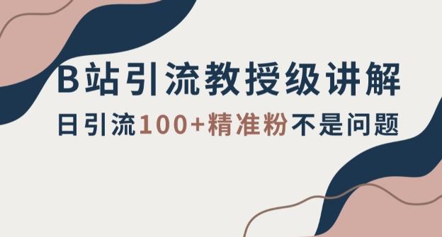 B站引流教授级讲解，细节满满，日引流100+精准粉不是问题【揭秘】-E网资源