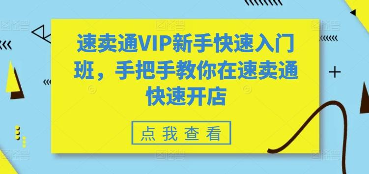 速卖通VIP新手快速入门班，手把手教你在速卖通快速开店-E网资源