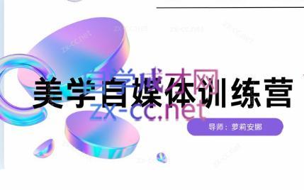安娜·美学自媒体IP系统课-E网资源