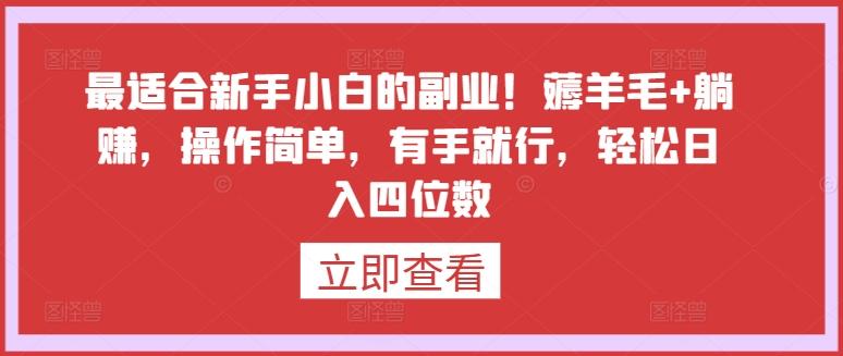 最适合新手小白的副业！薅羊毛+躺赚，操作简单，有手就行，轻松日入四位数【揭秘】-E网资源
