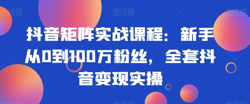 抖音矩阵实战课程：新手从0到100万粉丝，全套抖音变现实操-E网资源