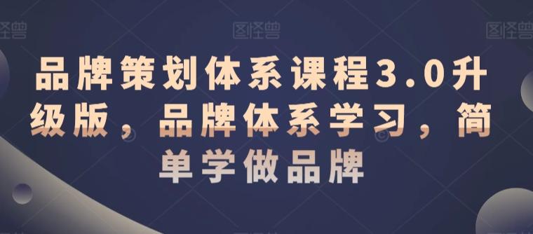 品牌策划体系课程3.0升级版，品牌体系学习，简单学做品牌-E网资源