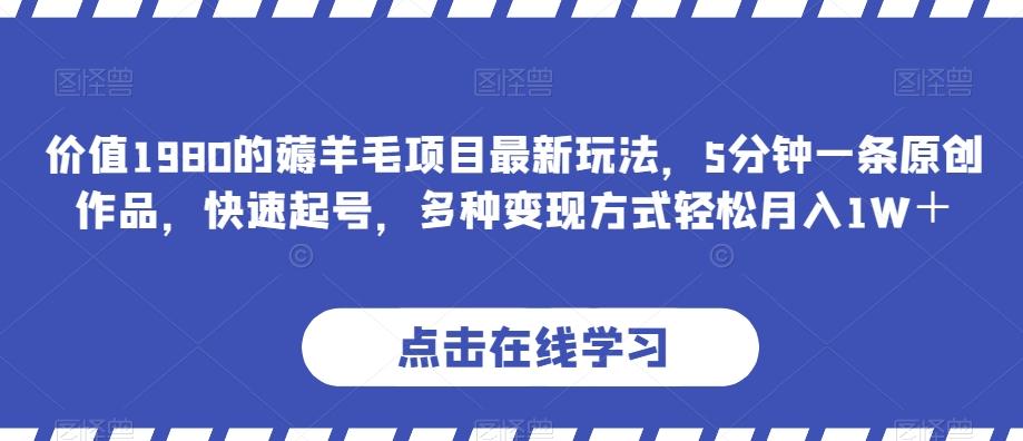 价值1980的薅羊毛项目最新玩法，5分钟一条原创作品，快速起号，多种变现方式轻松月入1W＋【揭秘】-E网资源