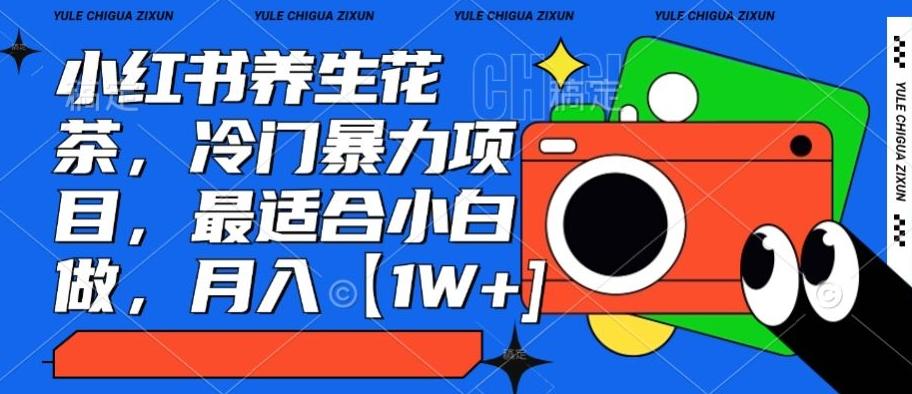 小红书养生花茶，冷门暴力项目，最适合小白做，月入【1W+】-E网资源