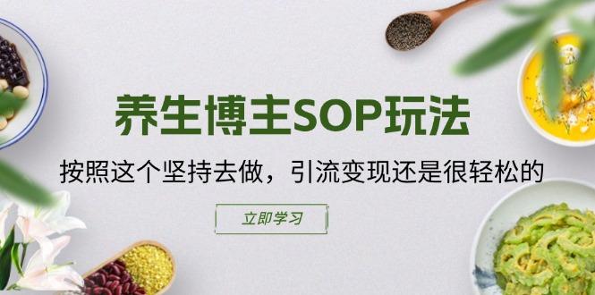 养生博主SOP玩法，按照这个坚持去做，引流变现还是很轻松的-E网资源