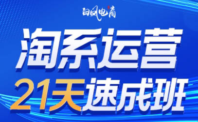 淘系运营21天速成班(更新9月)-E网资源