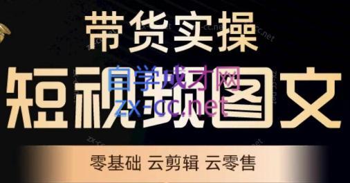 鑫哥·2024零基础短视频带货实操营-E网资源