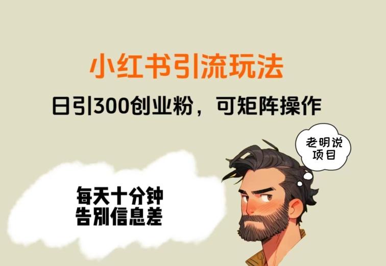 靠小红书视频日印300粉，两分钟一个视频轻松矩阵-E网资源