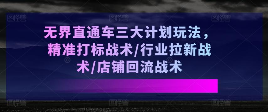 无界直通车三大计划玩法，精准打标战术/行业拉新战术/店铺回流战术-E网资源