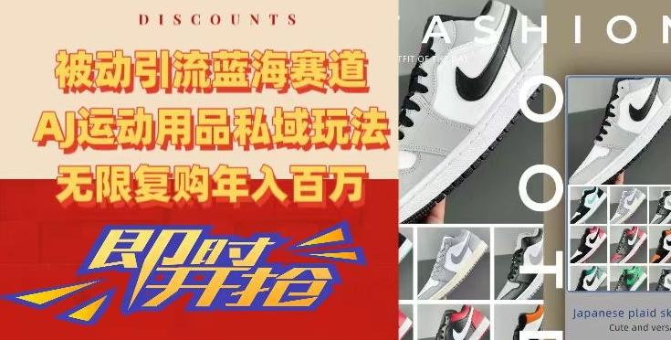 被动引流蓝海赛道，AJ运动用品私域玩法，无限复购年入百万【揭秘】-E网资源